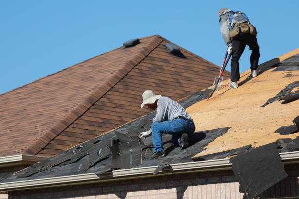 Best Roof Replacement  in Wallace, FL