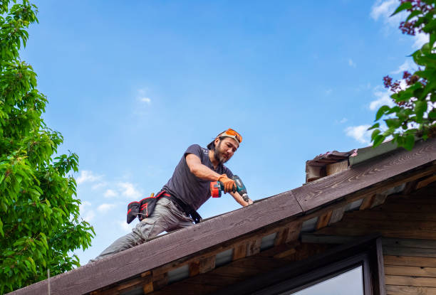 Best Chimney Flashing Repair  in Wallace, FL